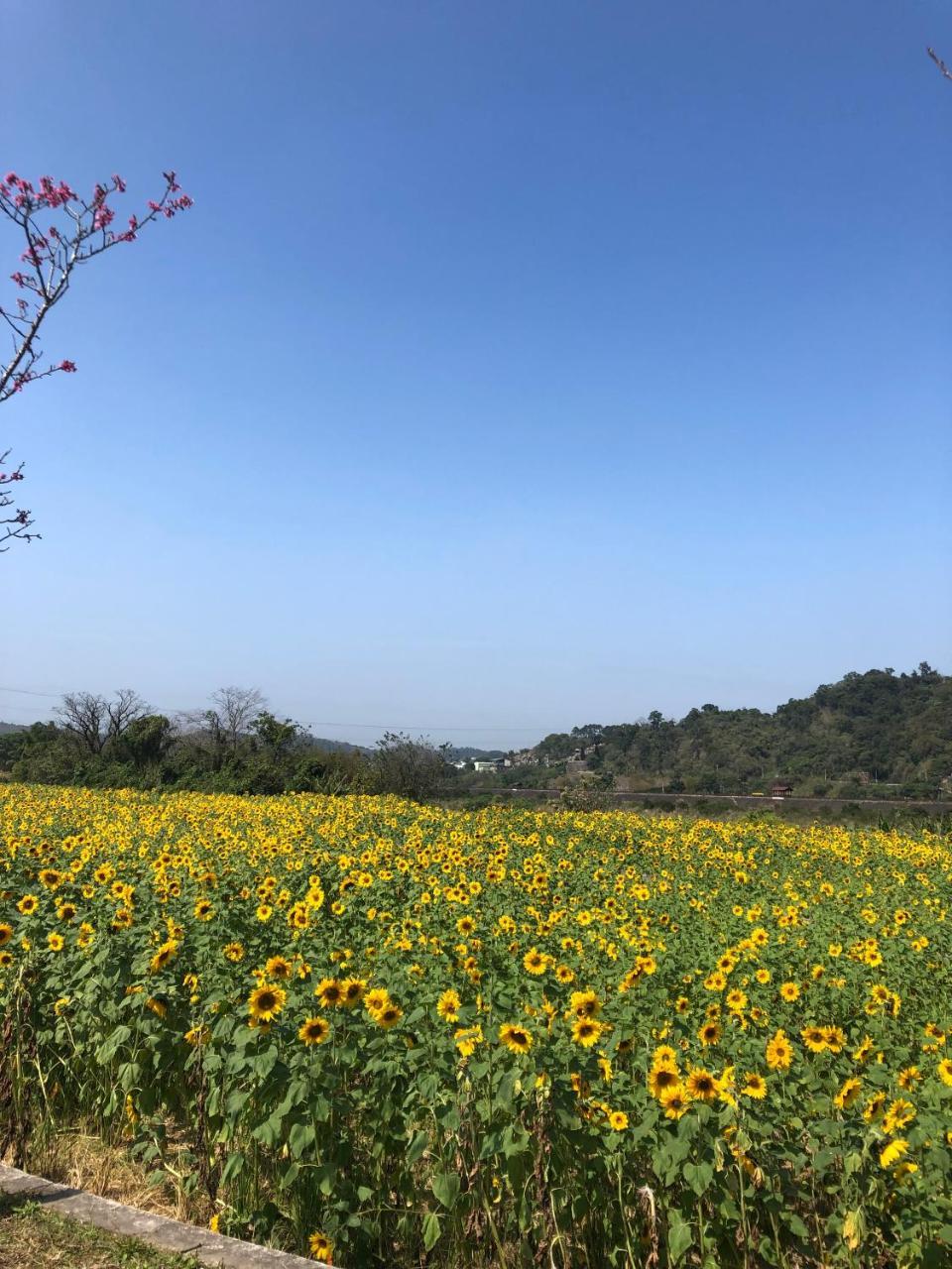 Nanzhuang Manchen B&B Bagian luar foto